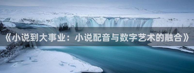 林枫与苏慕白小说趣笔阁：《小说到大事业：小说配音与数字艺术的融合》