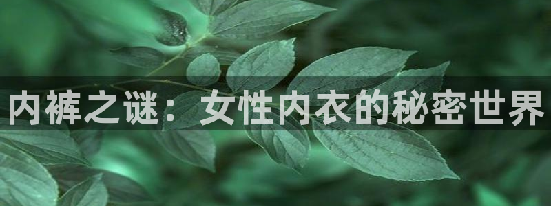 阿宾正传趣笔阁庆仔：内裤之谜：女性内衣的秘密世界