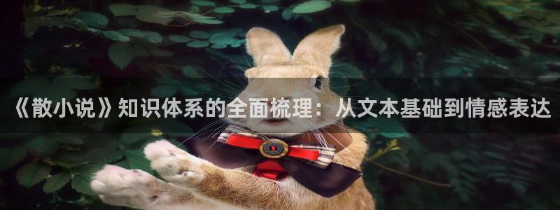 百炼成神趣笔阁：《散小说》知识体系的全面梳理：从文本基础到情感表达
