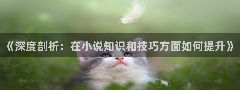 陈浩叶倾城趣笔阁