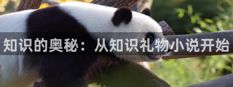 诡秘之主小说趣笔阁
