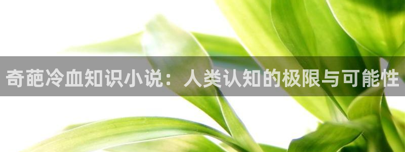 阿宾正传1—72与钰慧趣笔阁