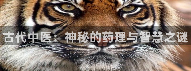 林枫与苏慕白小说趣笔阁