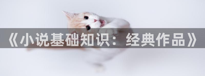 百炼成神趣笔阁