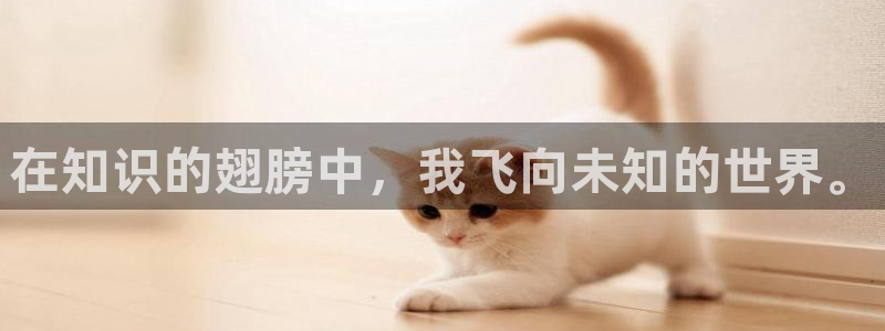 暗火颜茜和颜栖迟趣笔阁