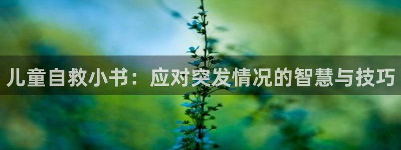 陈浩叶倾城趣笔阁